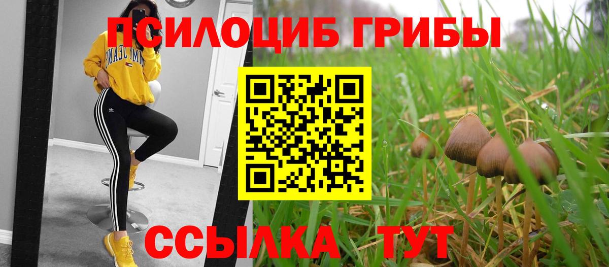 Псилоцибиновые грибы мухоморы  Вход с VPN  Ефремов 